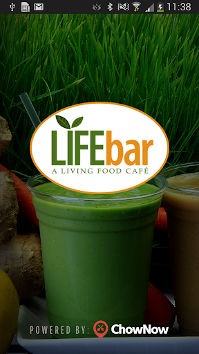 Life Bar