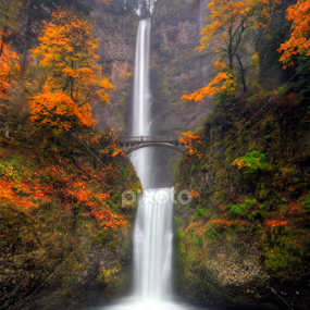 Multnomah Falls in Autumn colors by William Lee - Landscapes Waterscapes