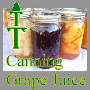 Canning Grape Juice 1.0