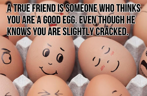 Friendship Quotes