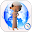 Qibla Download on Windows