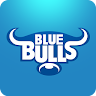 Blue Bulls Application icon