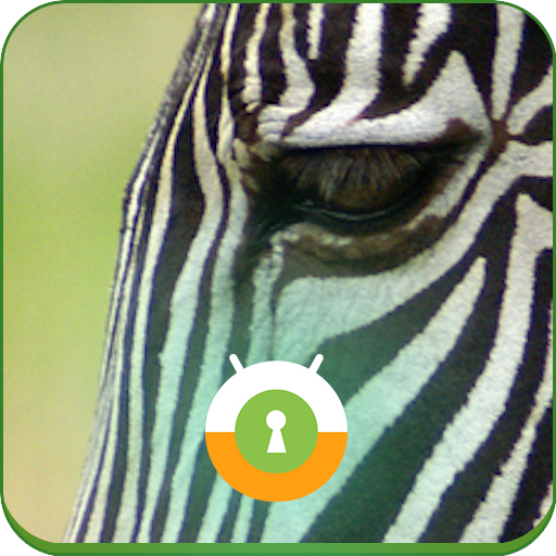 Zebra Wall & Lock 個人化 App LOGO-APP開箱王