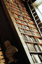 Library Puzzle poster 2