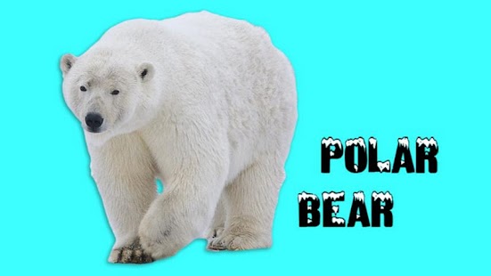 Download Toddler Animal Sounds - Roars! APK for Android