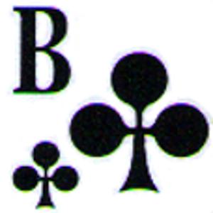 Skat Score logo