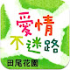 愛情不迷路。田尾花園 APK