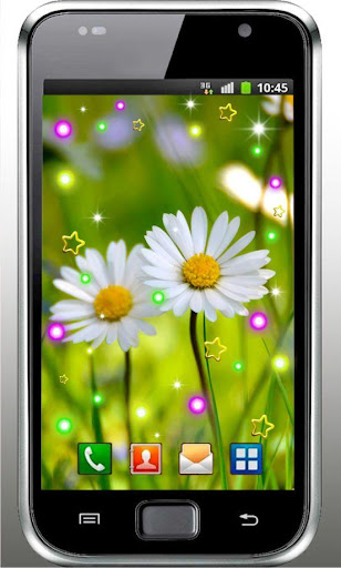 Camomile Summer live wallpaper