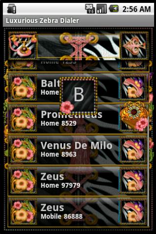 Luxurious Zebra Dialer Screen 2