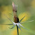 NickPage Photos