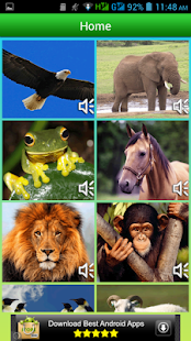 Animal Sounds Screenshots 4