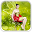 Fairy Live Wallpaper Download on Windows