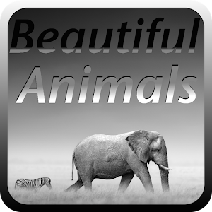 Beautiful Animal Puzzles 1.1