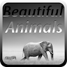 Beautiful Animal Puzzles Game icon