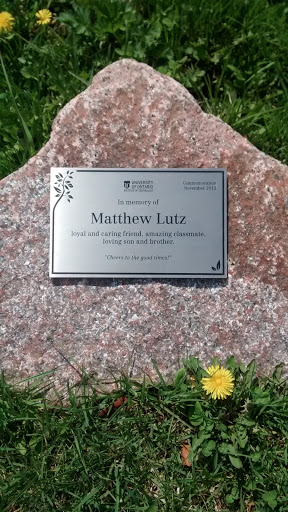 Matthew Lutz Memorial Tree