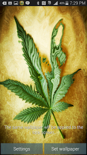 download Marijuana Leaf Wallpaper free
