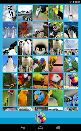 Animal Wallpapers poster 10