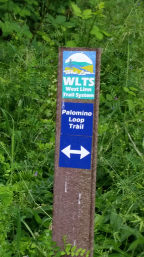 Palomino Loop Trail Junction - South