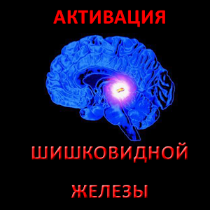 ШИШКОВИДНОЙ ЖЕЛЕЗЫ АКТИВАЦИЯ 1