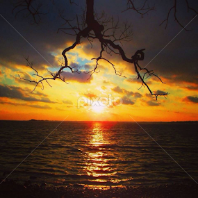 Tod's Point, Old Greenwich, CT. by John Hayes - Landscapes Sunsets & Sunrises