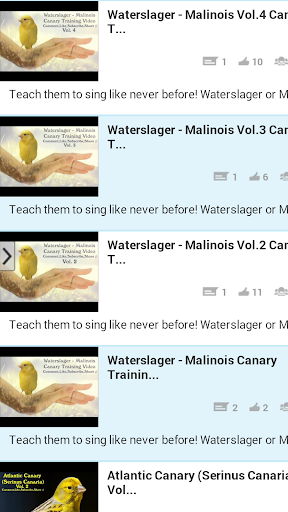 Canary Singing Training