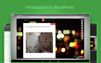 Beginners WordPress Guide poster 4