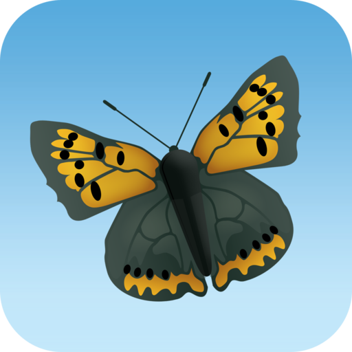 Big Butterfly Count 教育 App LOGO-APP開箱王