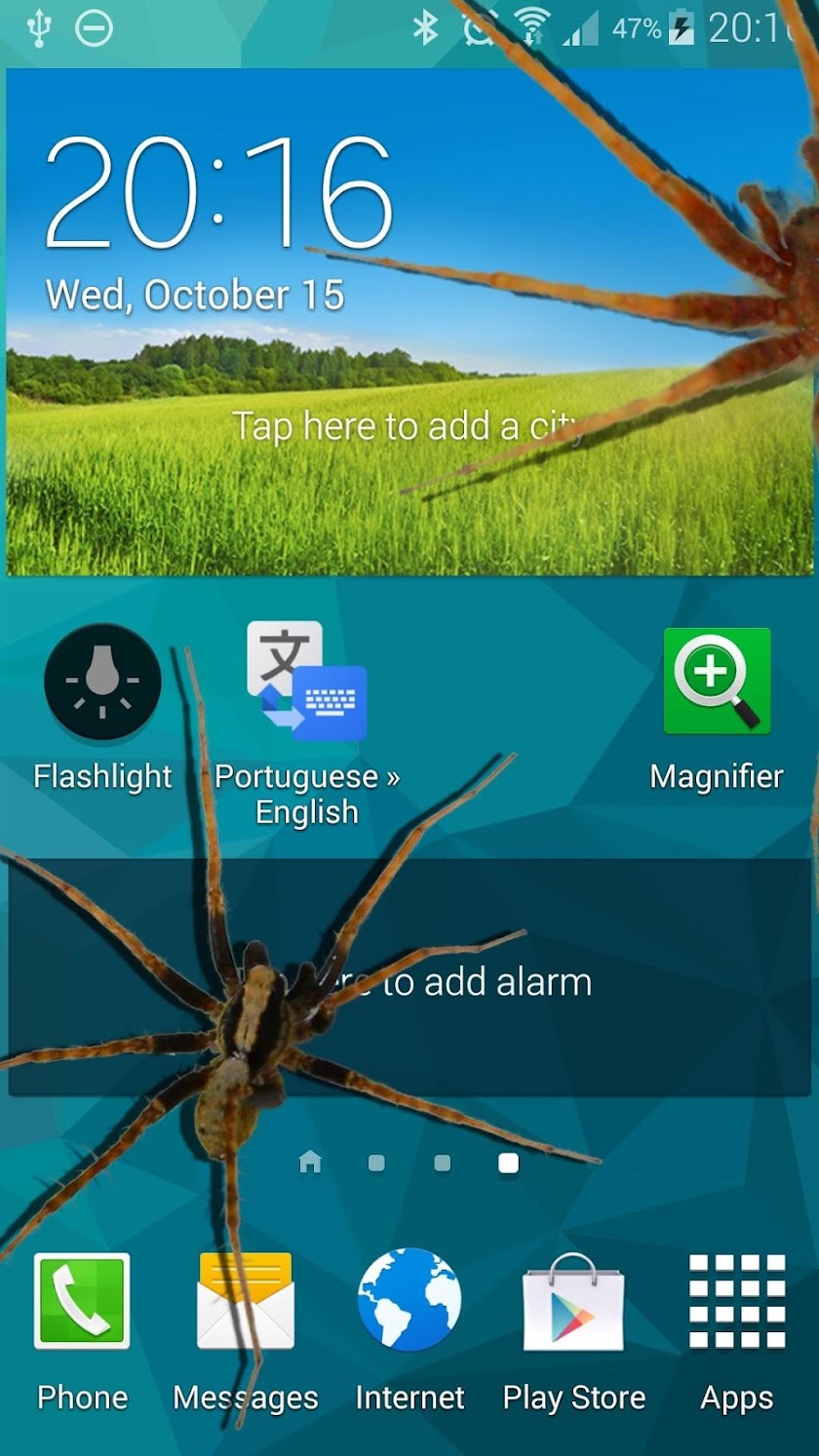 Spider in phone funny joke Screen 3