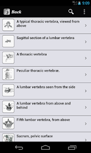 How to download Gray's Anatomy 2012 patch 2.1 apk for android