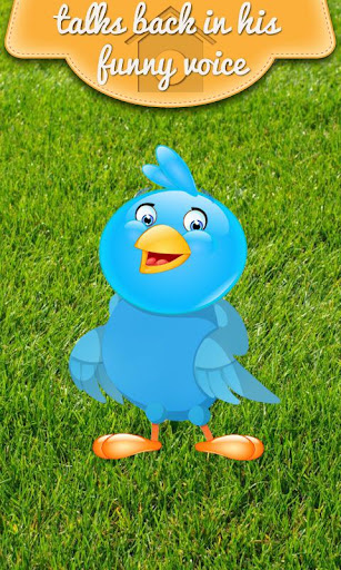 免費下載娛樂APP|Funny Talking Bird app開箱文|APP開箱王