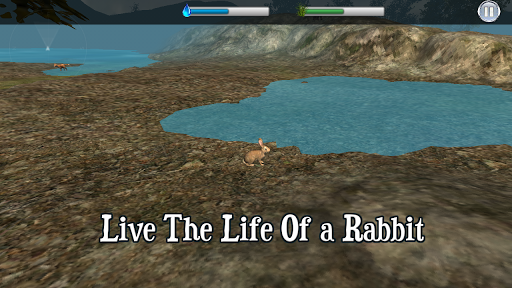 【免費模擬App】Rabbit Simulator-APP點子