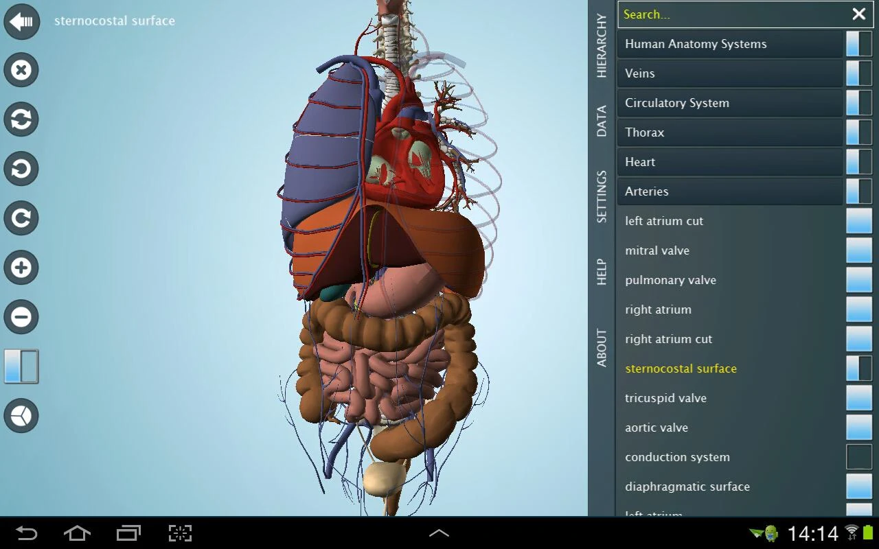   Anatomy 3D Pro - Anatronica: captura de tela 