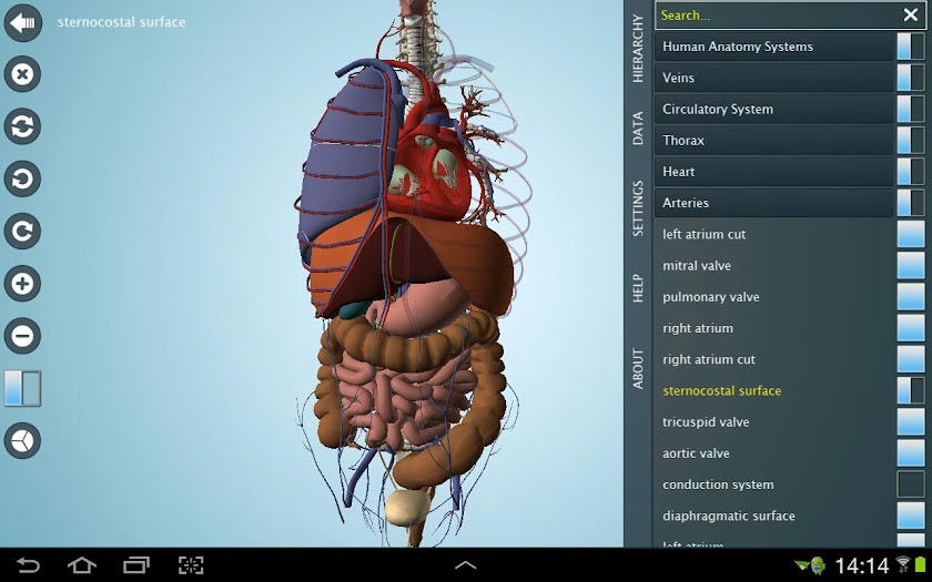 Anatomy 3D Pro - Anatronica Screen 3