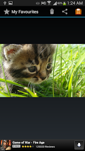 Pet of the Day: Dog & Cat Pics Screenshots 6