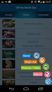 Nausicaa Screenshots 1