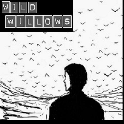 Omri Dagan The Wild Willows EP LOGO-APP點子