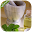 التداوى بالاعشاب الطبيعية Download on Windows