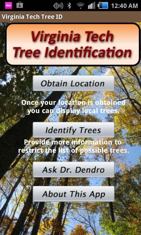 Image result for Virginia Tech Tree ID