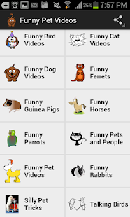 Download Funny Pet Videos APK for PC