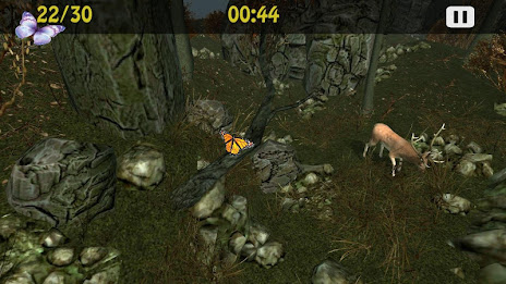 Butterflies Catch Craze 3D poster 5