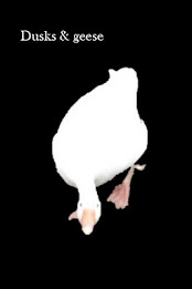 Z Ducks & Geese Sound poster 2