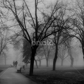 by Tatjana Koljensic - Black & White Landscapes