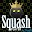 Squash player Download on Windows
