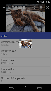 Lastest ExifCutter APK