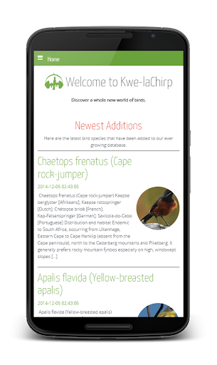 kwe-lachirp eBirds