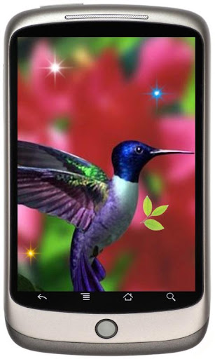 Colibri Grand Seria LWP