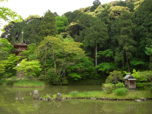 浄瑠璃寺庭園 日本めぐり