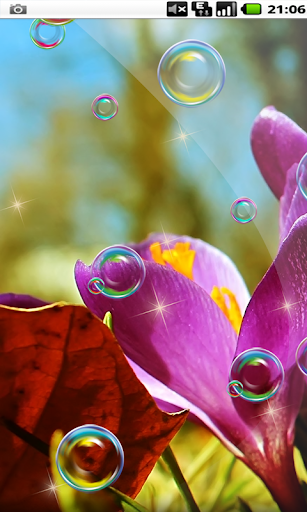 Little Flowers Bubble Cute HD