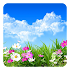 Flower Spring Live Wallpaper7.0