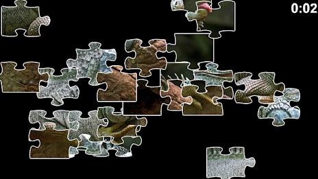 Lizard Jigsaw Puzzles by Don Becker poster 2